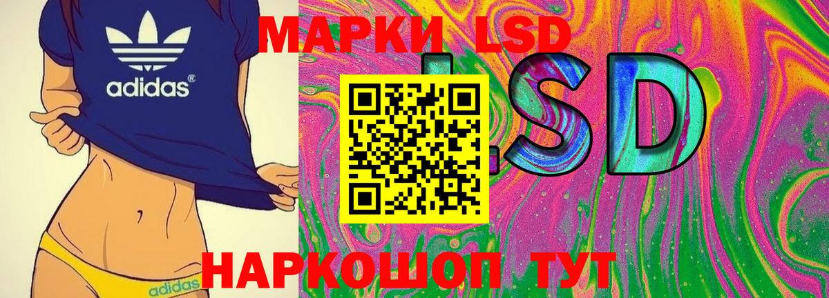 Губкинский  Марки N-bome 1,5мг  Вход с VPN 