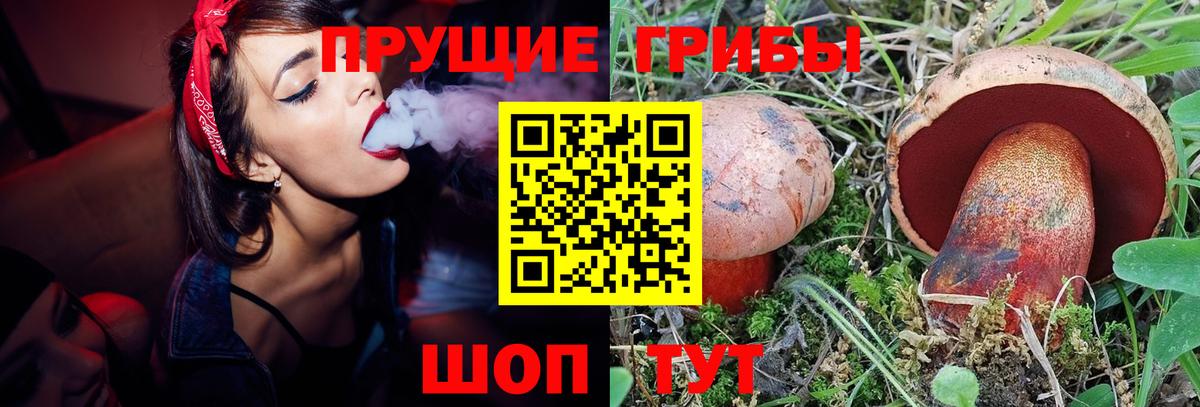 Псилоцибиновые грибы MAGIC MUSHROOMS Губкинский