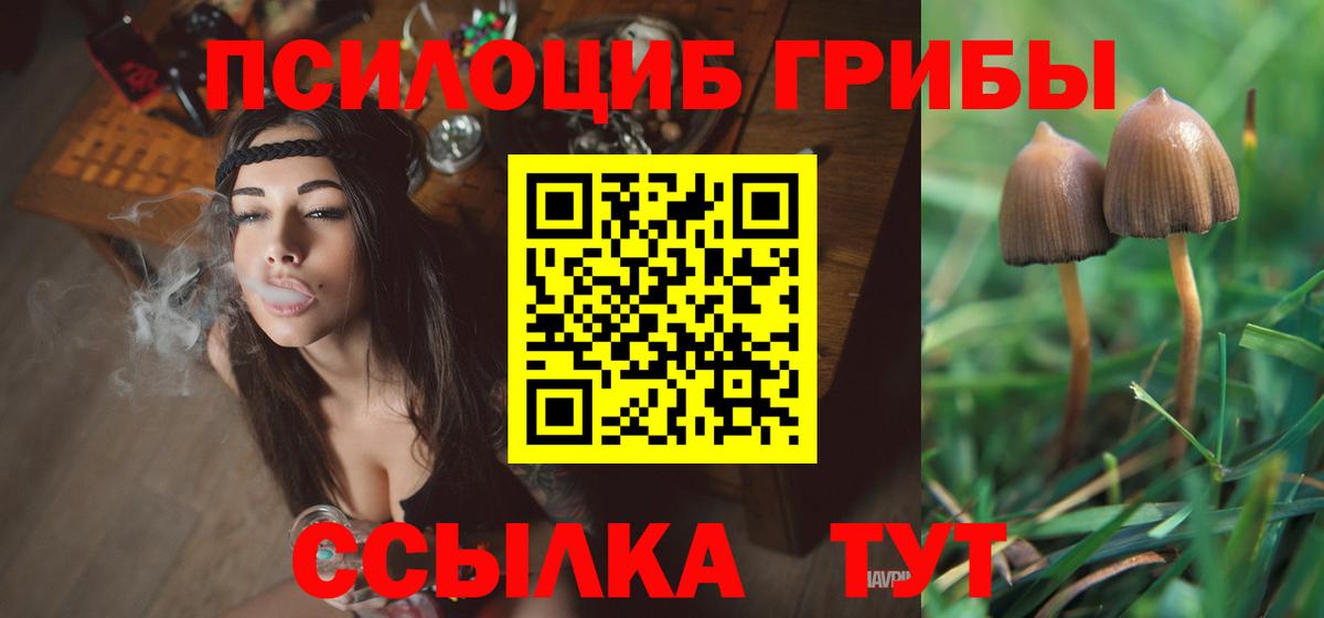 Губкинский  Псилоцибиновые грибы MAGIC MUSHROOMS  Вход с VPN 